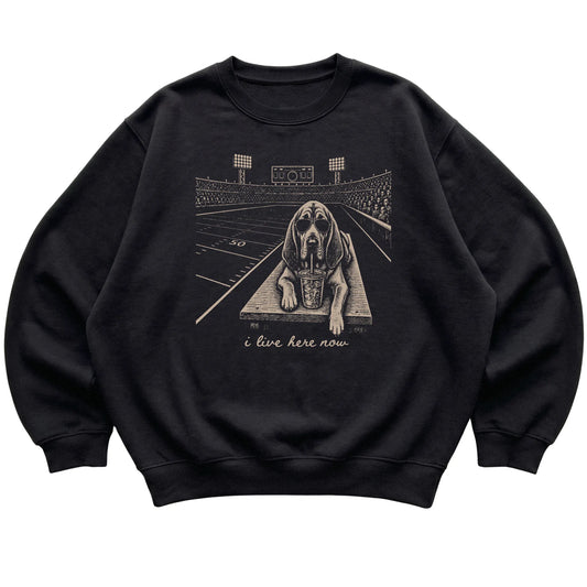 Black Bloodhound Football Tailgate sweatshirt, laid flat