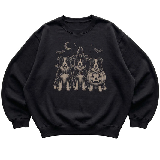 Black Border Collie Halloween Costume sweatshirt, flat view