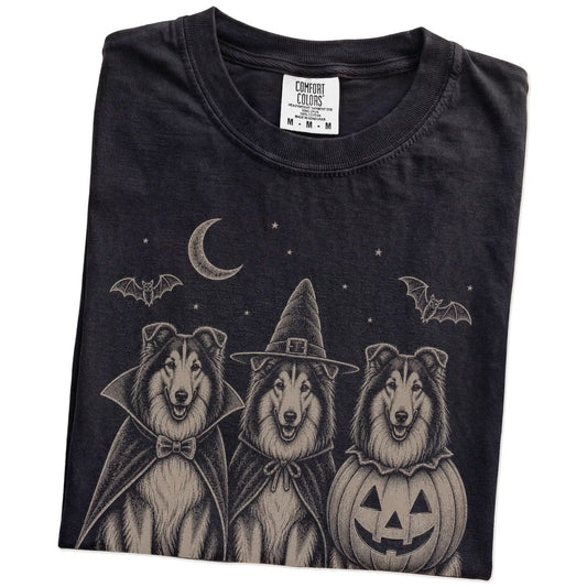 Folded Black Comfort Colors® T-shirt showing three Collie dogs dressed for Halloween beneath bats and a crescent moon