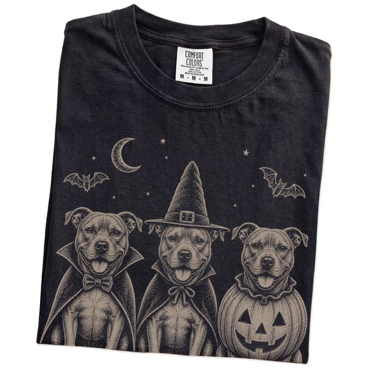 Folded Black Comfort Colors® T-shirt showing three Pitbull dogs dressed for Halloween beneath bats and a crescent moon