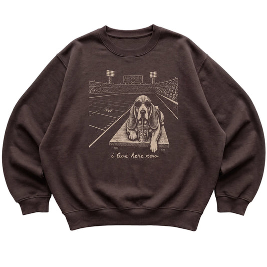 Dark Chocolate Basset Hound Football Tailgate sweatshirt, laid flat
