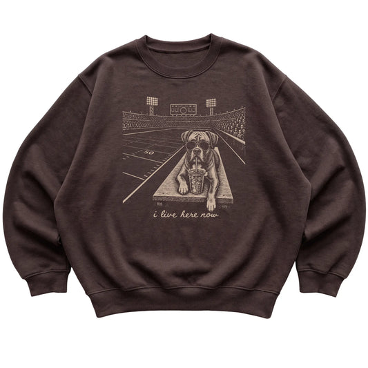 Dark Chocolate Boxer Football Tailgate sweatshirt, laid flat