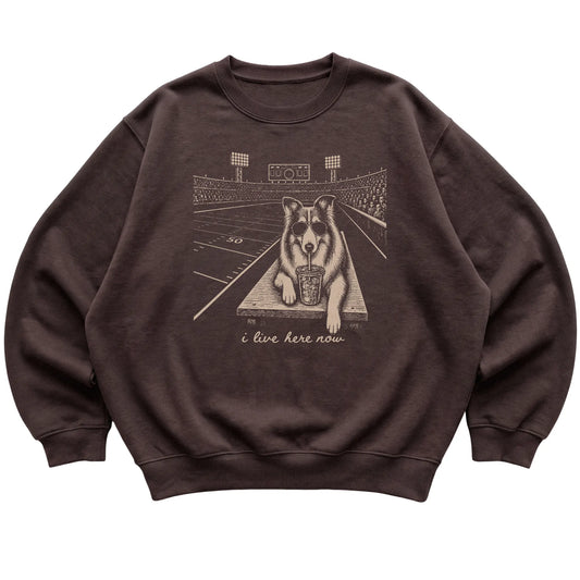 Dark Chocolate Collie Football Tailgate sweatshirt, laid flat