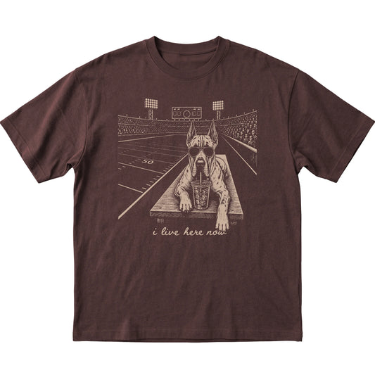 Dark Chocolate Great Dane Football Tailgate T-shirt, laid flat