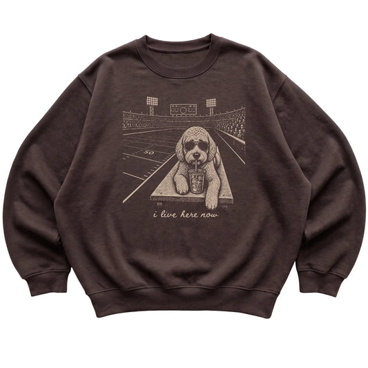 Dark Chocolate Labradoodle Football Tailgate sweatshirt, laid flat
