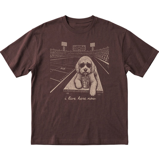 Dark Chocolate Labradoodle Football Tailgate T-shirt, laid flat