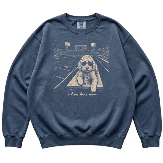 Denim Labradoodle Football Tailgate sweatshirt, laid flat