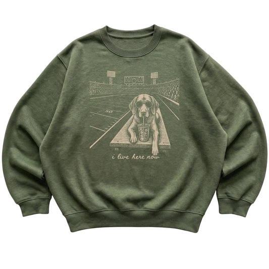 Military Green Vizsla Football Tailgate sweatshirt, laid flat
