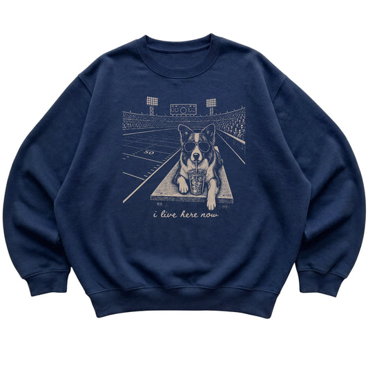 Navy Border Collie Football Tailgate sweatshirt, laid flat