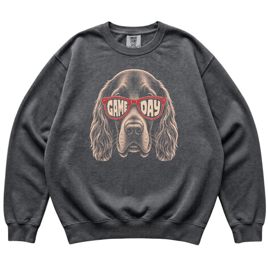 Pepper Irish Setter Game Day Sunglasses sweatshirt, laid flat