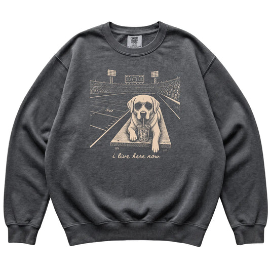 Pepper Labrador Retriever Football Tailgate sweatshirt, laid flat