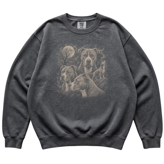 Pitbull 90s Moon Sweatshirt in Pepper — flat lay
