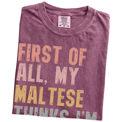 Folded Berry Comfort Colors® T-shirt showing “My Maltese thinks I’m delightful” text