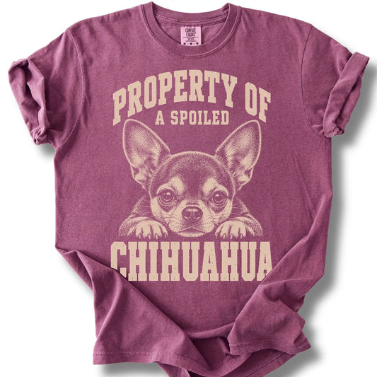 Berry Chihuahua T-shirt with a dog portrait and “Property of a Spoiled” lettering.
