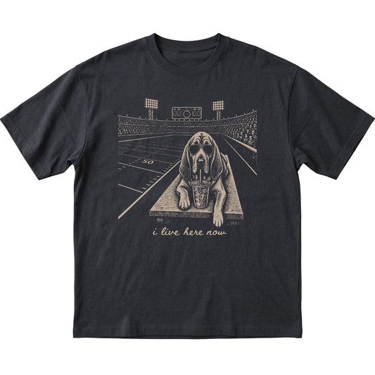 Black Bloodhound Football Tailgate T-shirt, laid flat