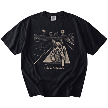Blue Heeler ready for football and tailgate season on a Black Comfort Colors® T-shirt