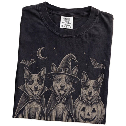 Folded Black Comfort Colors® T-shirt showing three Blue Heeler dogs dressed for Halloween beneath bats and a crescent moon