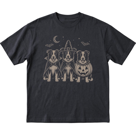 Black Border Collie Halloween Costume T-shirt, flat view