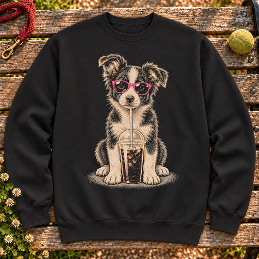 Border Collie drinking cold coffee in pink sunglasses on Black sweatshirt