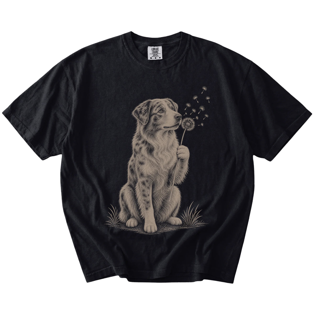 Australian Shepherd portrait with drifting dandelion seeds on a Black Comfort Colors® T-shirt
