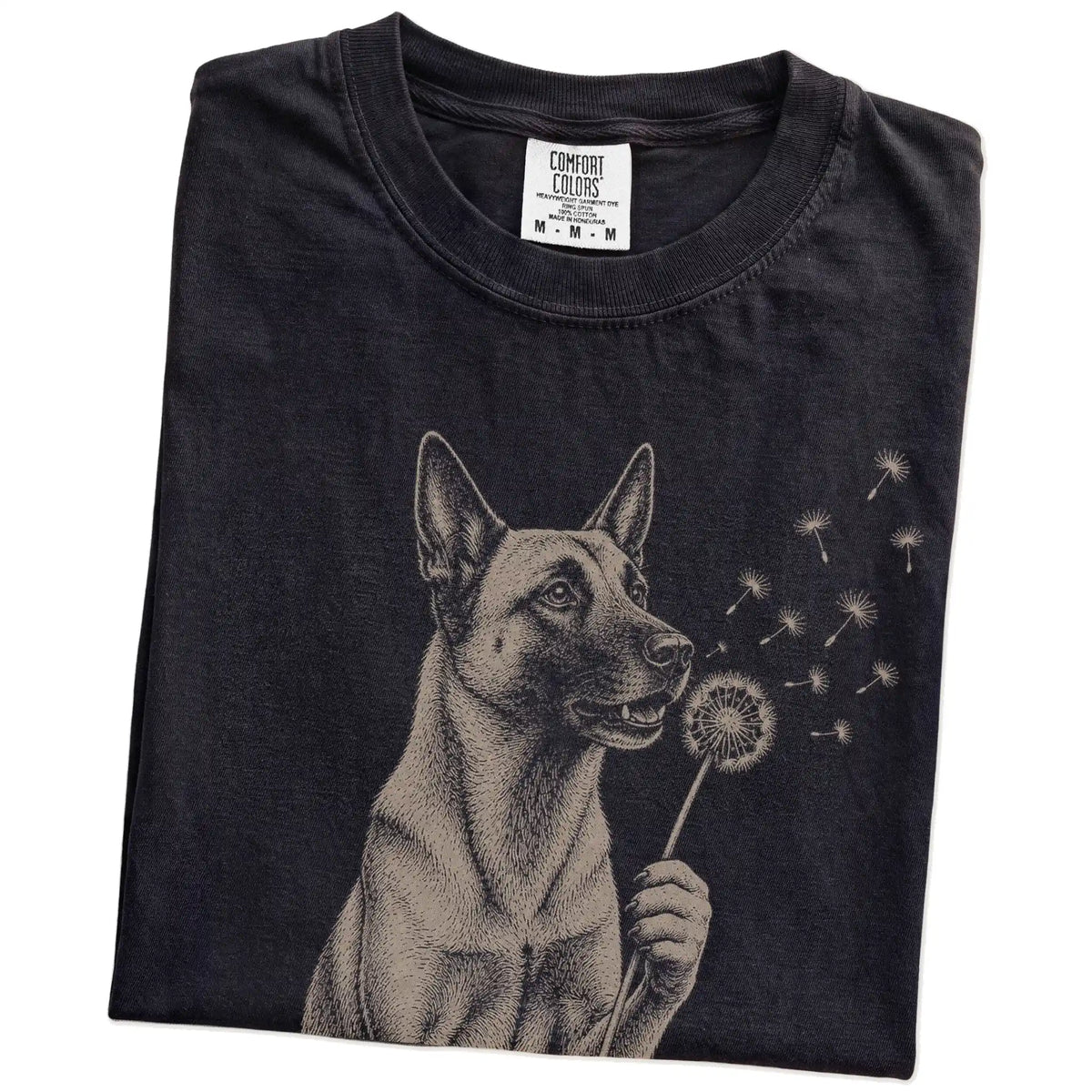 Folded Black Comfort Colors® T-shirt showing Belgian Malinois portrait with drifting dandelion seeds