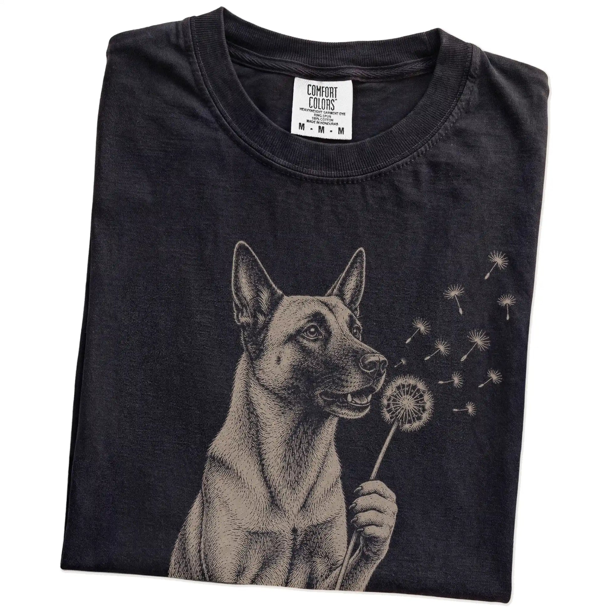 Folded Black Comfort Colors® T-shirt showing Belgian Malinois portrait with drifting dandelion seeds