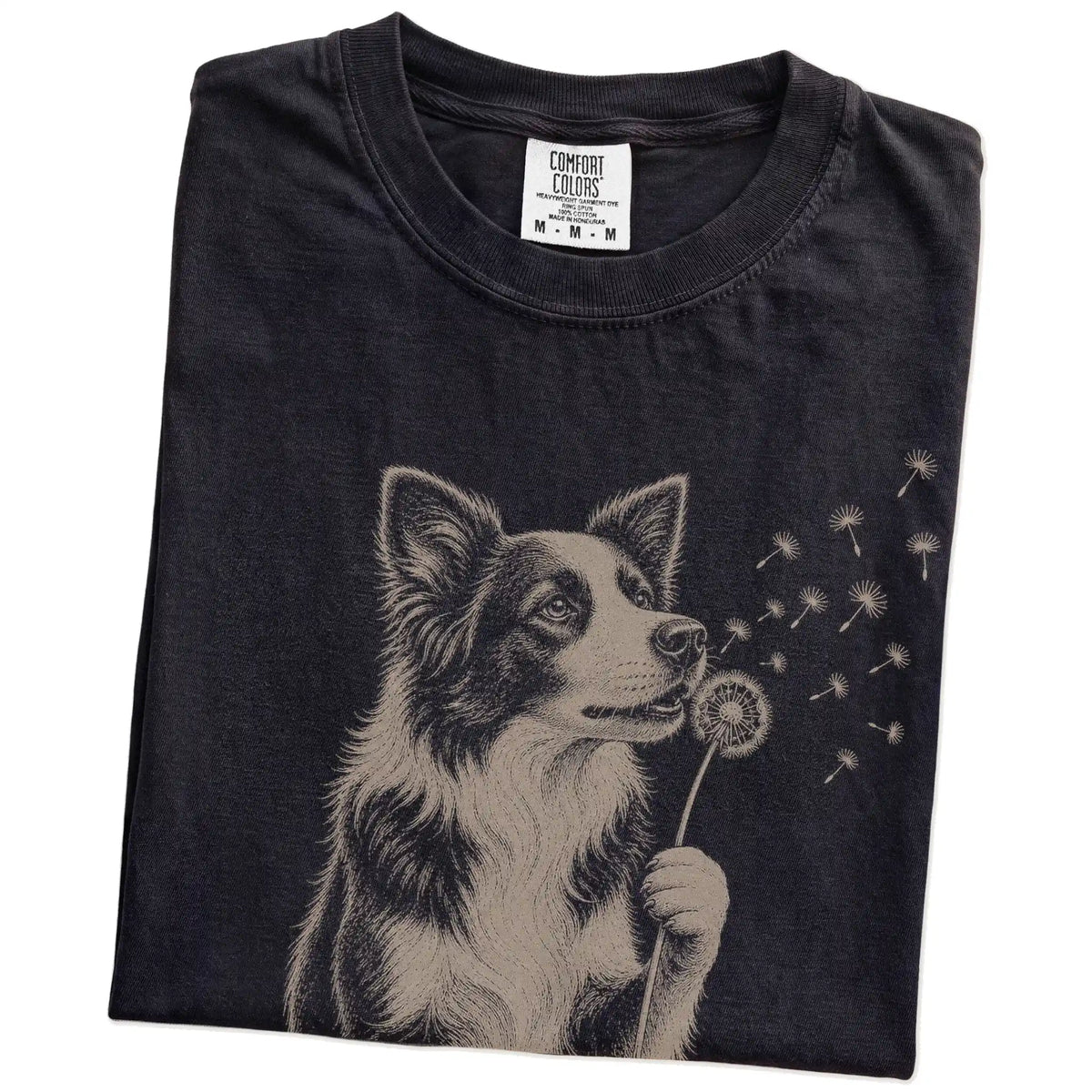 Folded Black Comfort Colors® T-shirt showing Border Collie portrait with drifting dandelion seeds