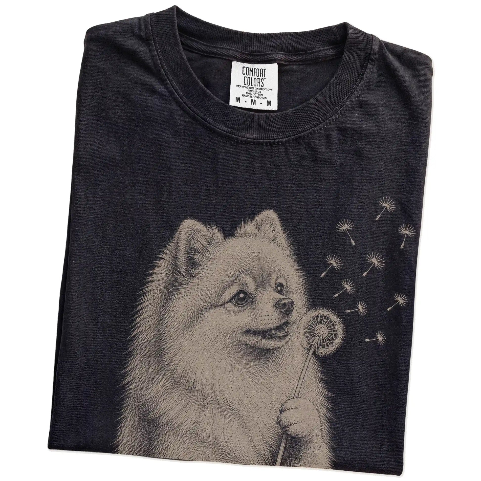 Folded Black Comfort Colors® T-shirt showing Pomeranian portrait with drifting dandelion seeds