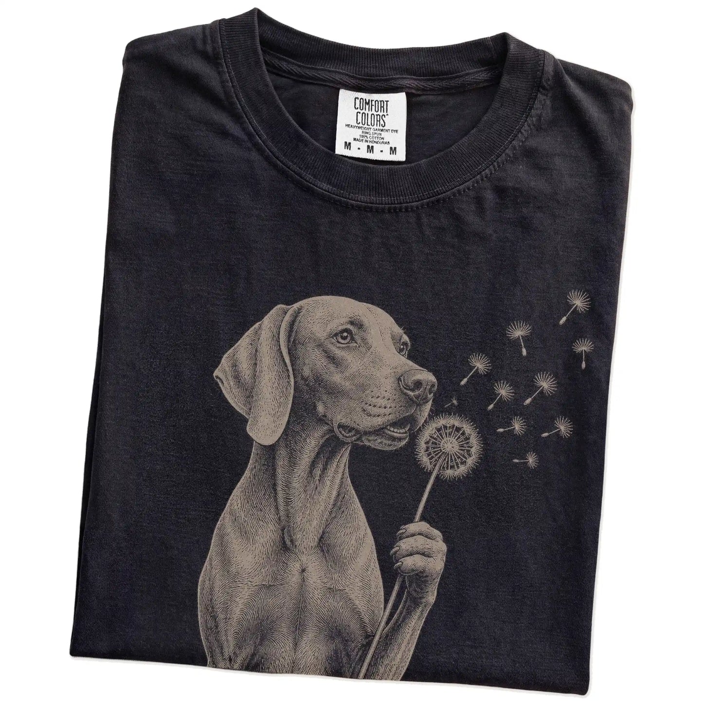 Folded Black Comfort Colors® T-shirt showing Weimaraner portrait with drifting dandelion seeds