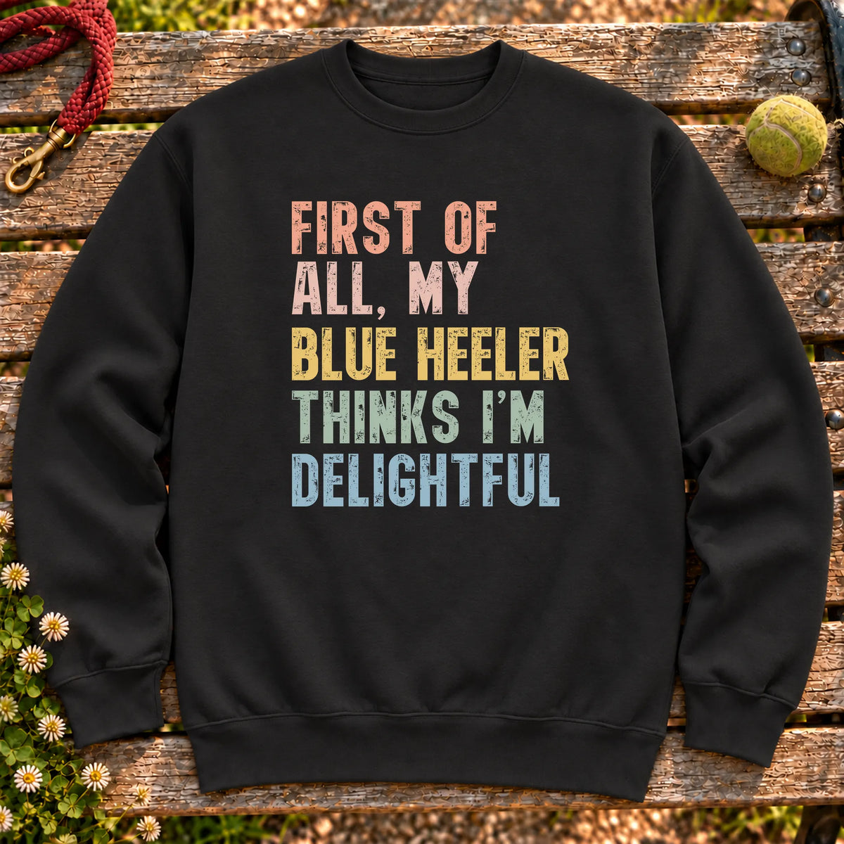 “First of all, my Blue Heeler thinks I’m delightful” text on a Black sweatshirt