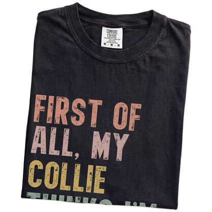 Folded Black Comfort Colors® T-shirt showing “My Collie thinks I’m delightful” text