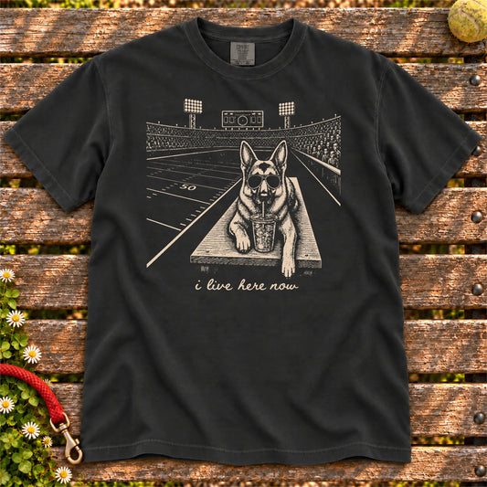 German Shepherd Iced Coffee Football design on a Black Comfort Colors T-shirt, shown flat