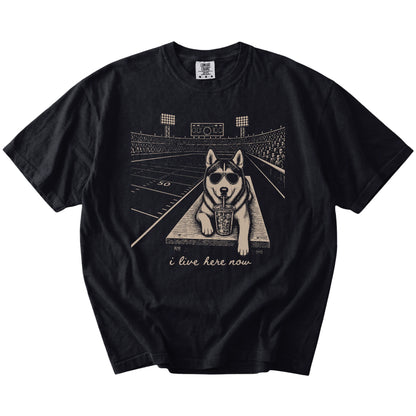 Husky ready for football and tailgate season on a Black Comfort Colors® T-shirt
