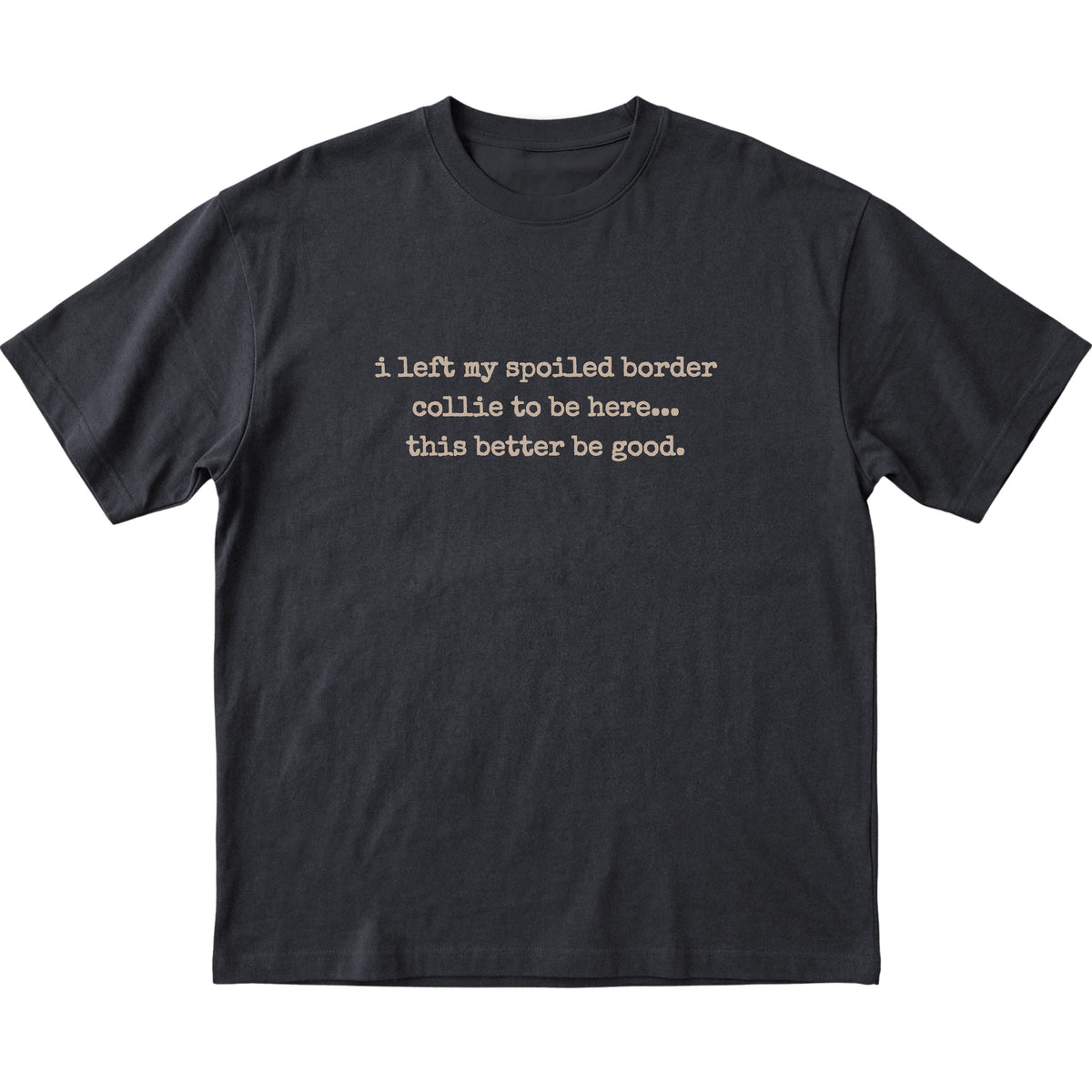 Black I Left My Spoiled Border Collie T-shirt laid flat
