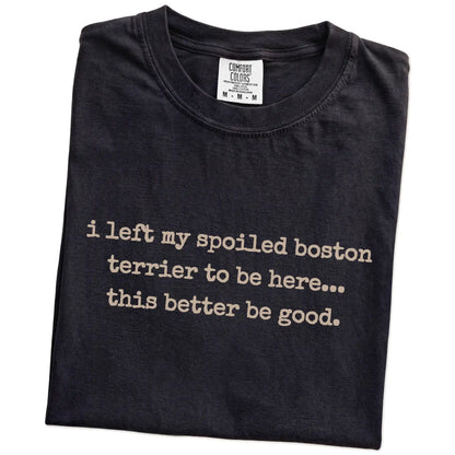 Folded Black Comfort Colors® T-shirt showing the “I Left My Spoiled Boston Terrier Home” saying