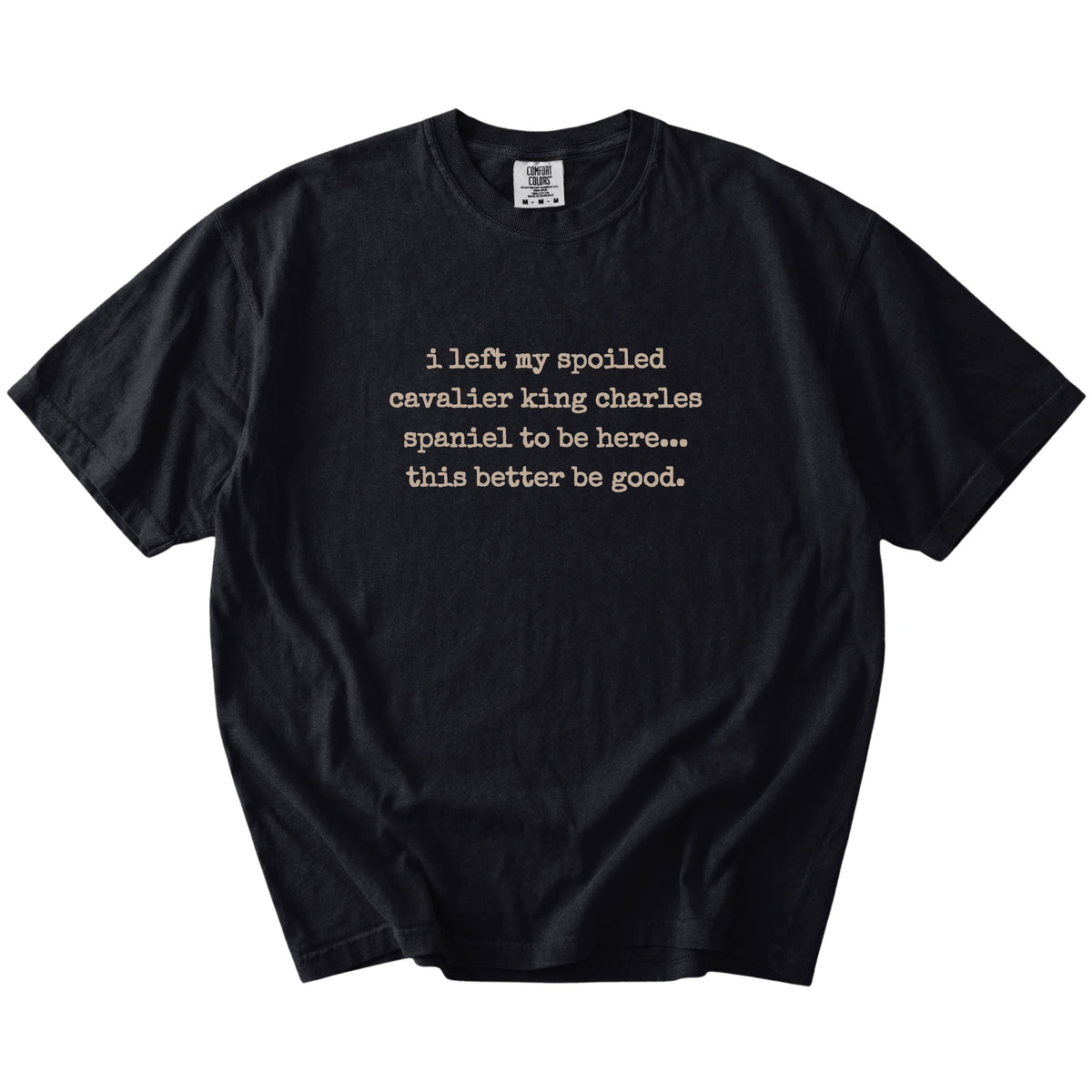 “I Left My Spoiled Cavalier King Charles Spaniel Home” saying on a Black Comfort Colors® T-shirt