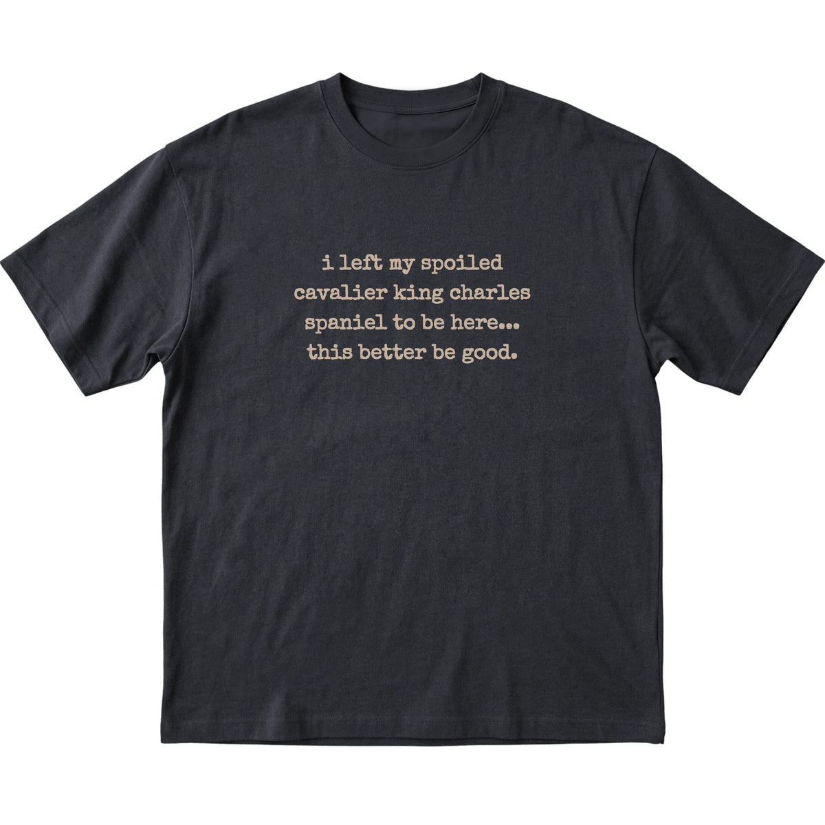 Black I Left My Spoiled Cavalier King Charles Spaniel T-shirt laid flat