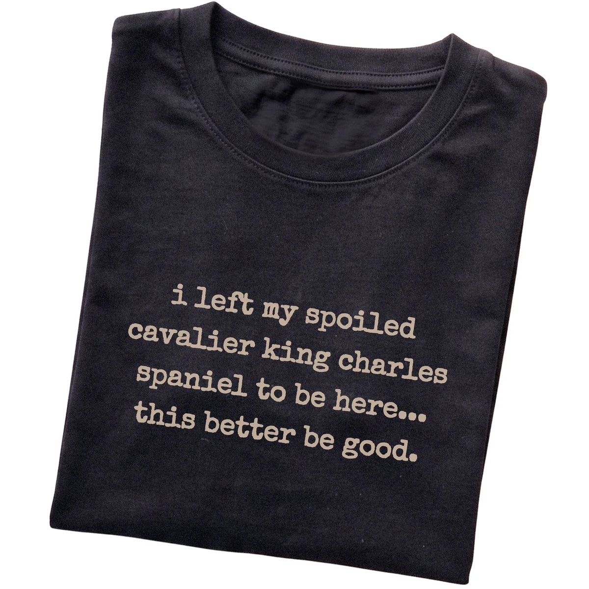 Black I Left My Spoiled Cavalier King Charles Spaniel T-shirt folded to show the printed design
