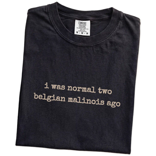 Folded Black Comfort Colors® T-shirt showing i was normal two belgian malinois ago lettering