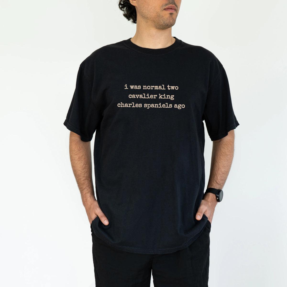 Model wearing a Black Comfort Colors® T-shirt with i was normal two cavalier king charles spaniels ago lettering