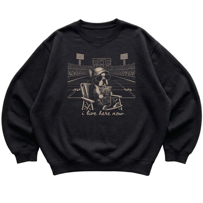 Black I live here now Boston Terrier sweatshirt, laid flat