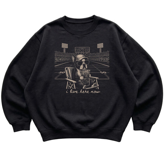Black I live here now Boston Terrier sweatshirt, laid flat