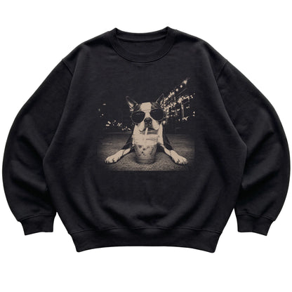 Boston Terrier wearing aviator sunglasses and drinking iced coffee on a Black Gildan Heavy Blend Crewneck Sweatshirt, flat lay view