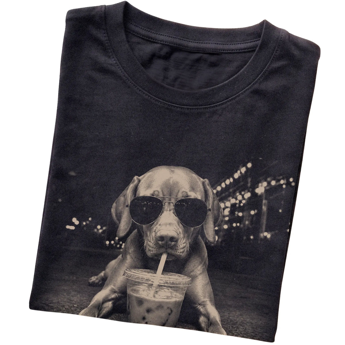 Vizsla wearing aviator sunglasses and drinking iced coffee on a Black Gildan Softstyle T-Shirt, folded view