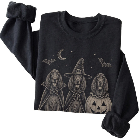 Black Irish Setter Halloween Costume sweatshirt, folded view