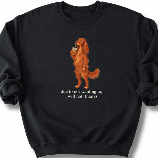 Irish Setter I Will Not design with iced coffee on a black sweatshirt