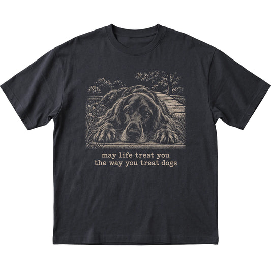 Irish Setter Karma Softstyle T-shirt in Black — Flat Lay