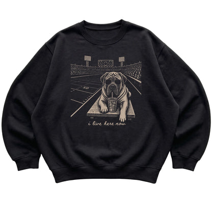 Black Mastiff Football Tailgate sweatshirt, laid flat