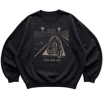 Black Newfie Football Tailgate sweatshirt, laid flat