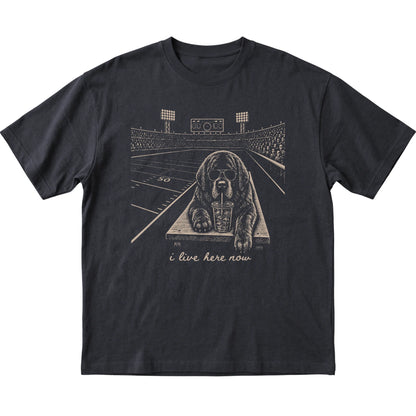 Black Newfie Football Tailgate T-shirt, laid flat